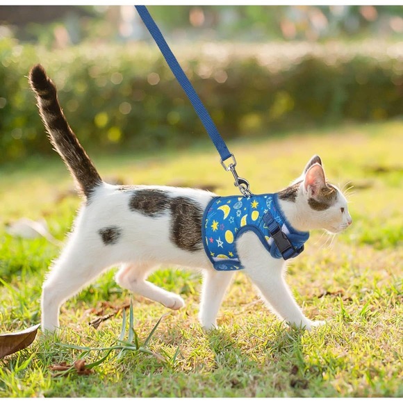 BINGPET Cat Harness Cat Dog Walking Harness Leads Kitties Puppies Sz medium - Picture 5 of 5